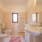 Alenka Orange شقة Novigrad Istria