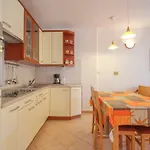 Alenka Orange Daire